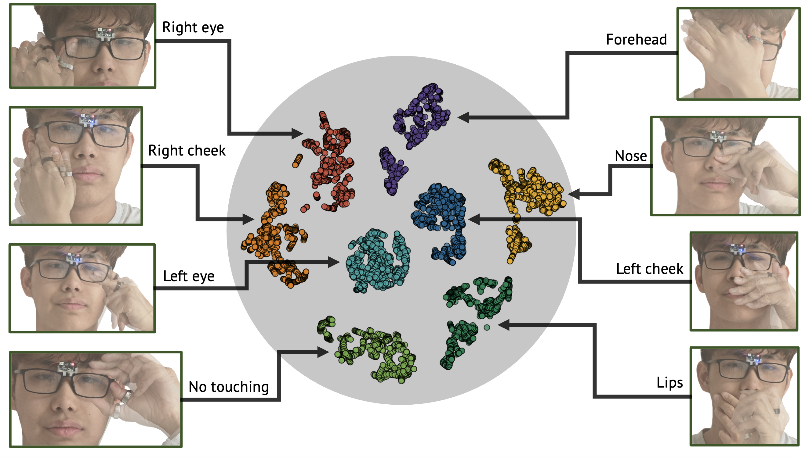 t-SNE embedding visualization